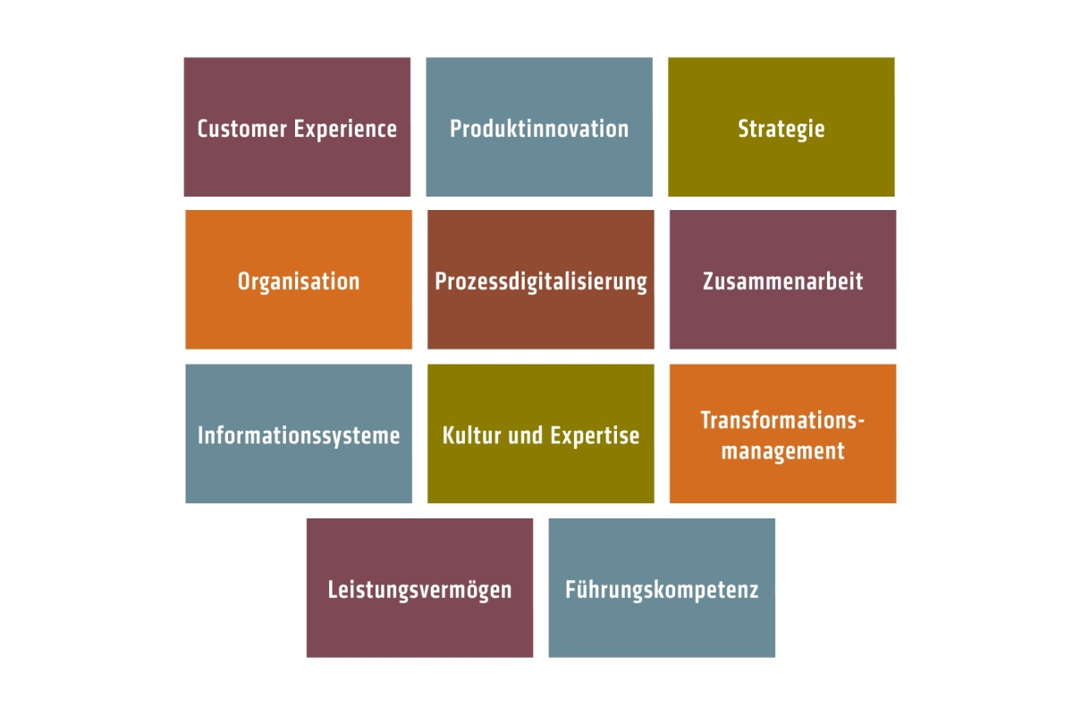 Dimensionen des  Digital Maturity Checks